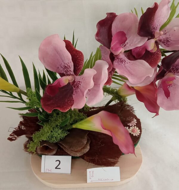 Ramo Solidario nº 2