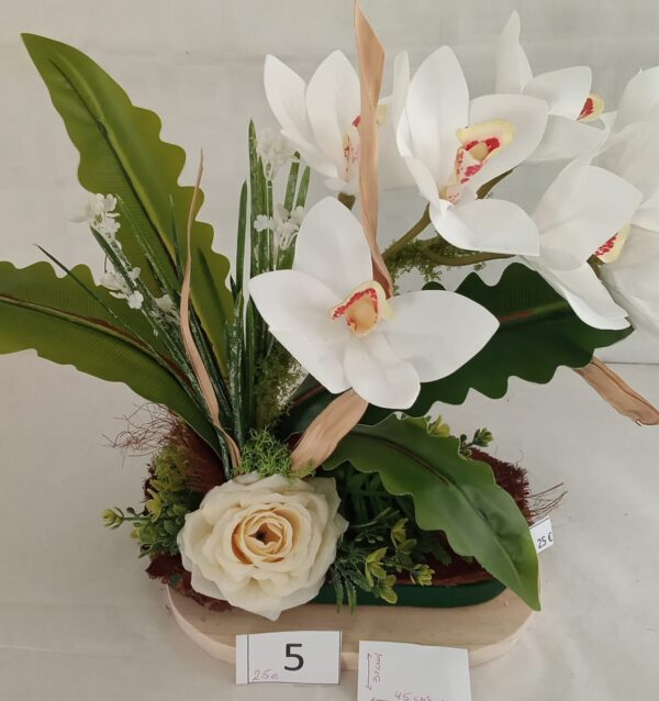 Ramo Solidario nº 5