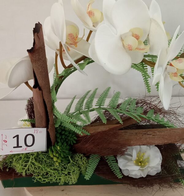 Ramo Solidario nº 10