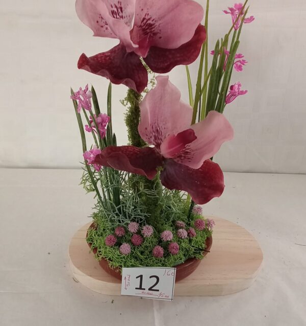 Ramo Solidario nº 12