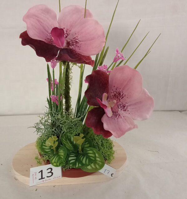 Ramo Solidario nº 13