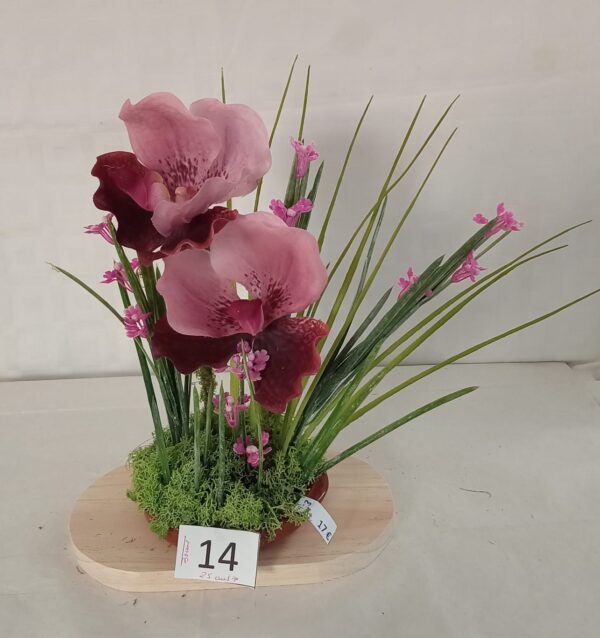 Ramo Solidario nº 14