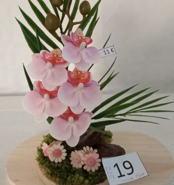 Ramo Solidario nº 19