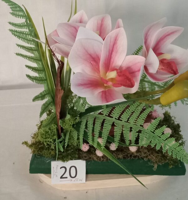 Ramo Solidario nº 20