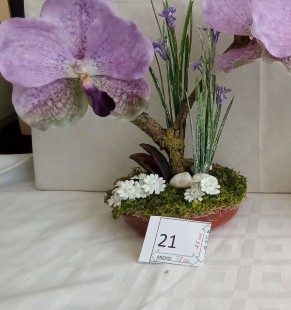 Ramo Solidario nº 21