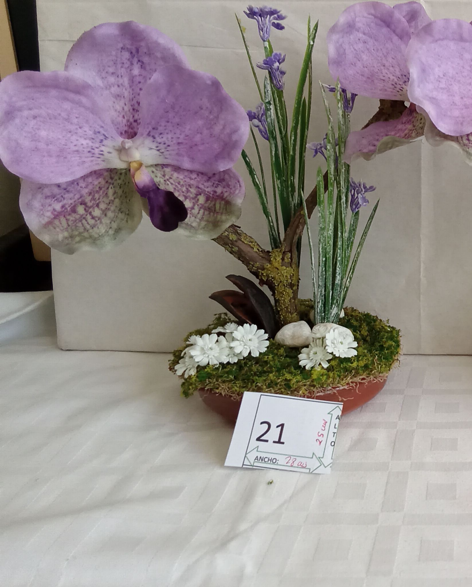 Ramo Solidario nº 21