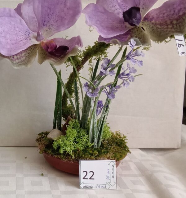 Ramo Solidario nº 22