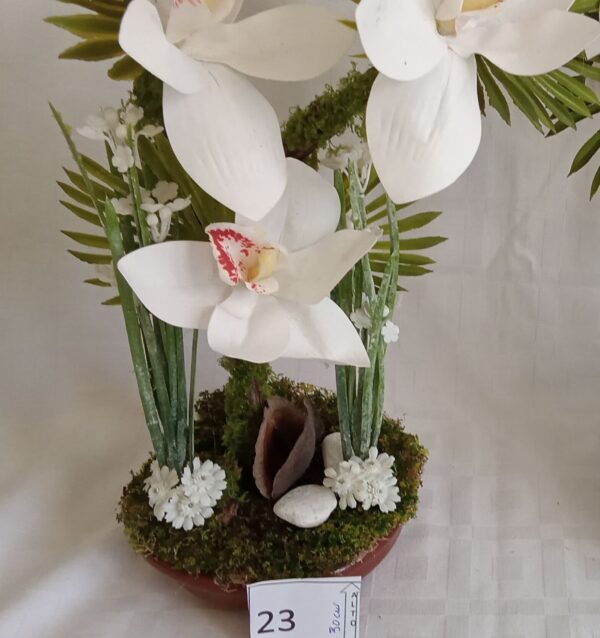 Ramo Solidario nº 23