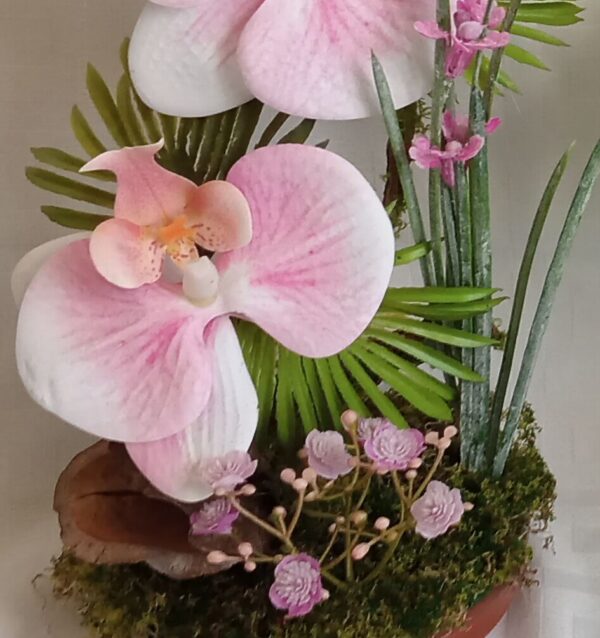 Ramo Solidario nº 25