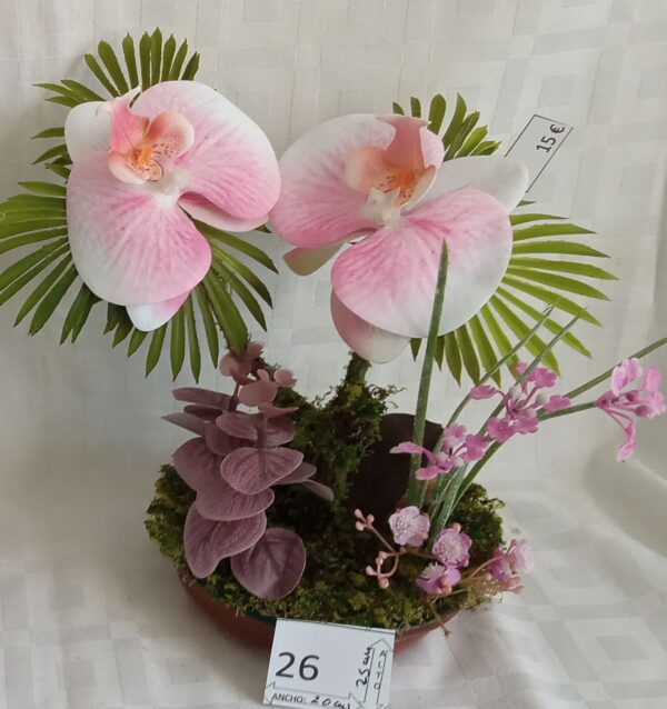 Ramo Solidario nº 26