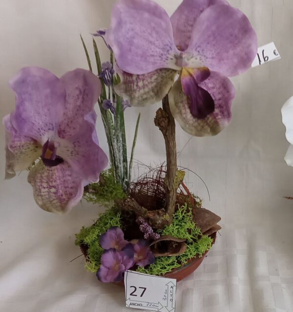 Ramo Solidario nº 27