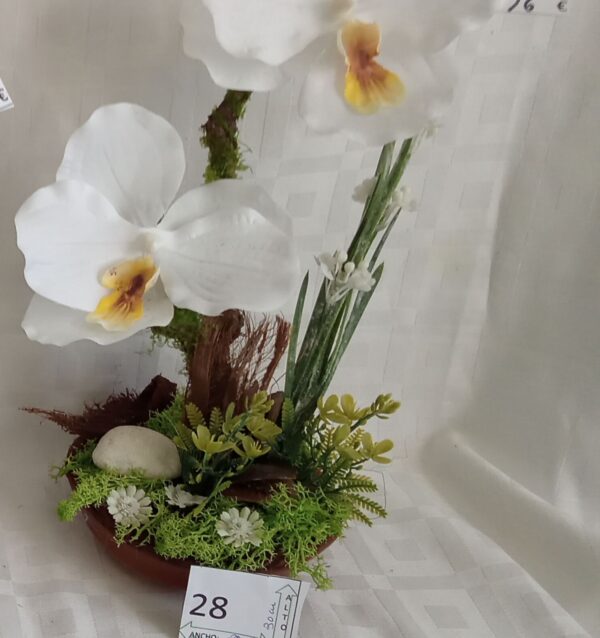 Ramo Solidario nº 28