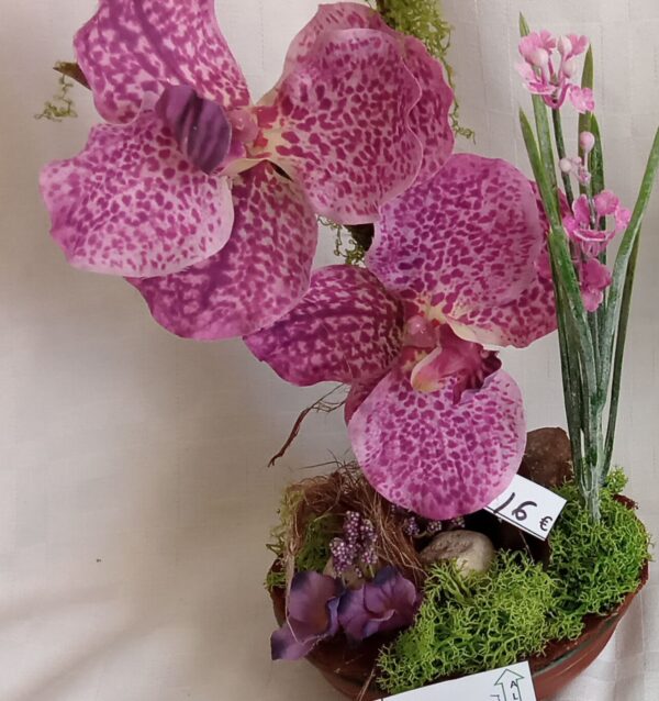 Ramo Solidario nº 29