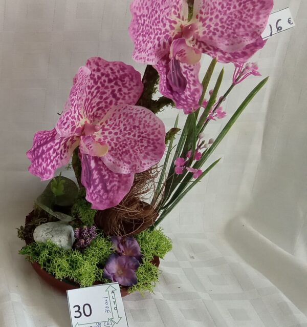 Ramo Solidario nº 30