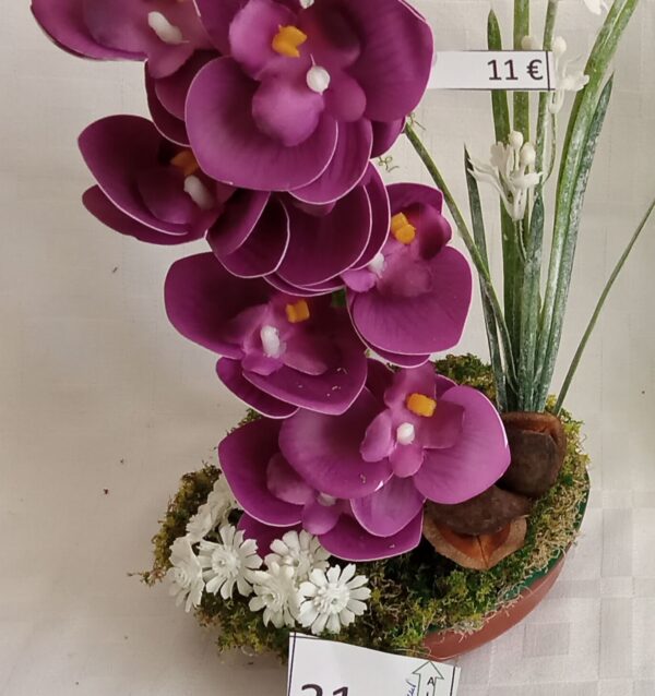 Ramo Solidario nº 31