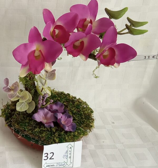 Ramo Solidario nº 32