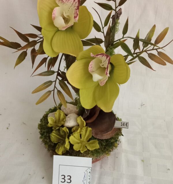 Ramo Solidario nº 33