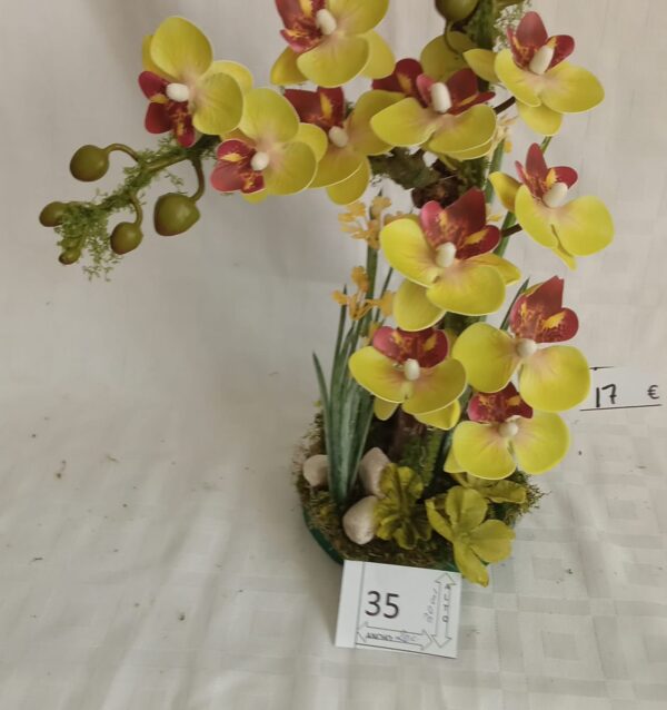 Ramo Solidario nº 35