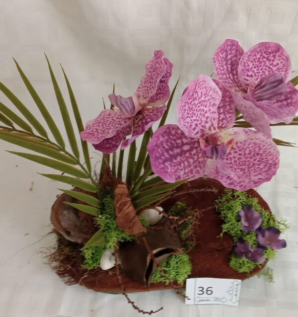 Ramo Solidario nº 36