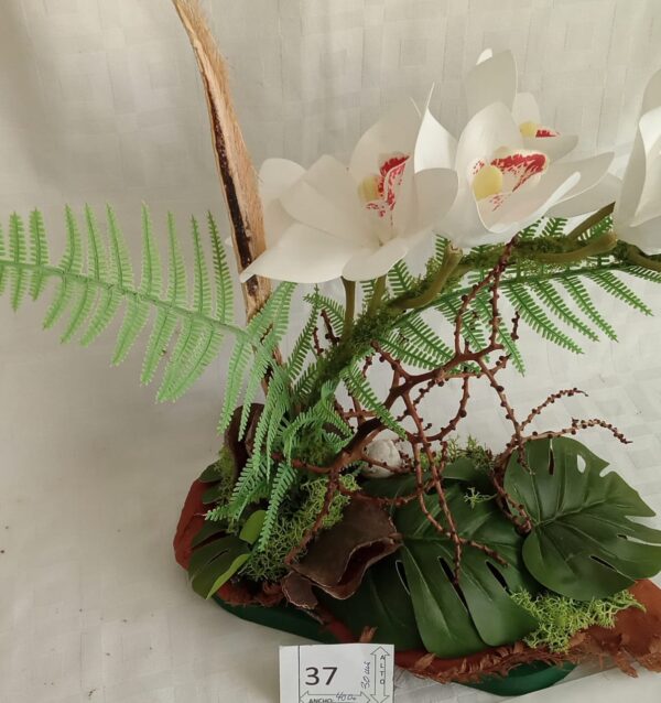 Ramo Solidario nº 37