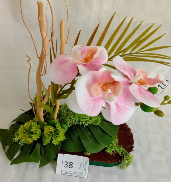 Ramo Solidario nº 38