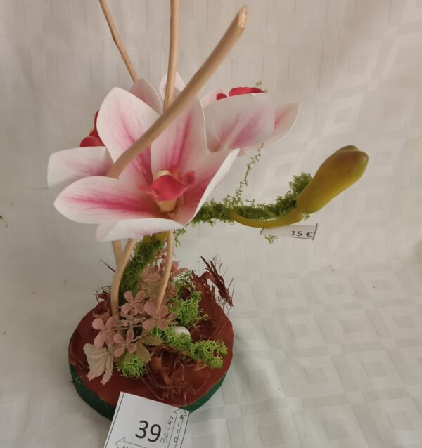 Ramo Solidario nº 39