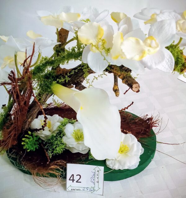 Ramo Solidario nº 42