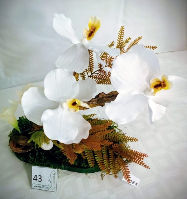 Ramo Solidario nº 43