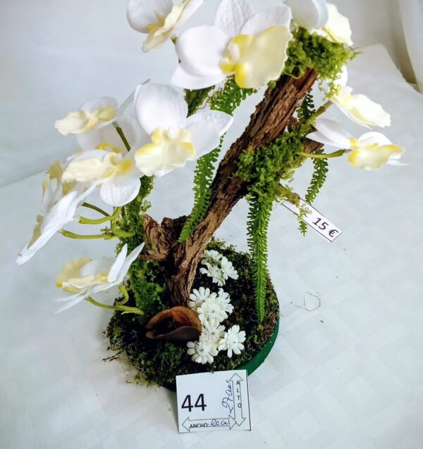 Ramo Solidario nº 44