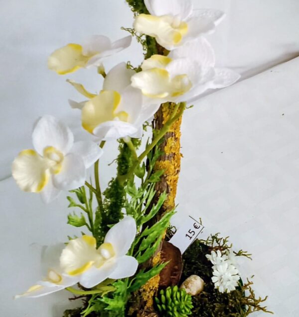 Ramo Solidario nº 45