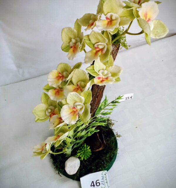 Ramo Solidario nº 46