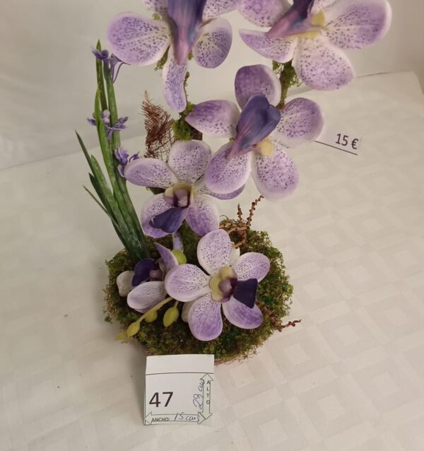 Ramo Solidario nº 47