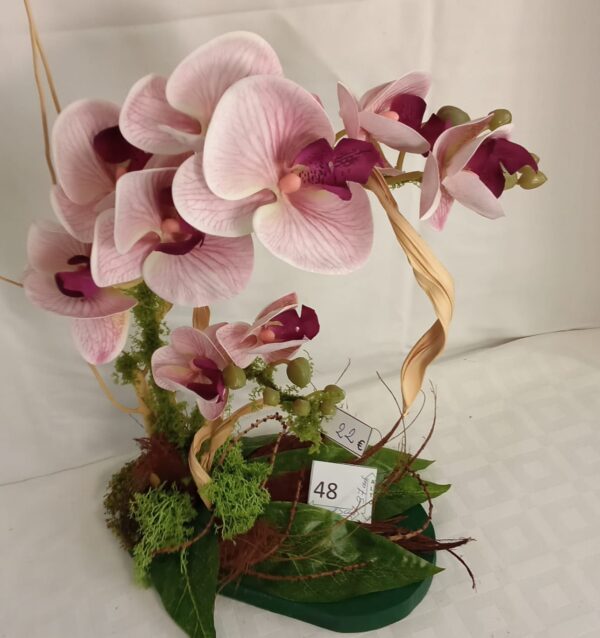 Ramo Solidario nº 48