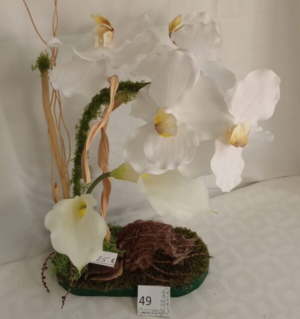 Ramo Solidario nº 49