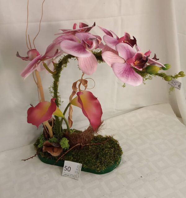 Ramo Solidario nº 50