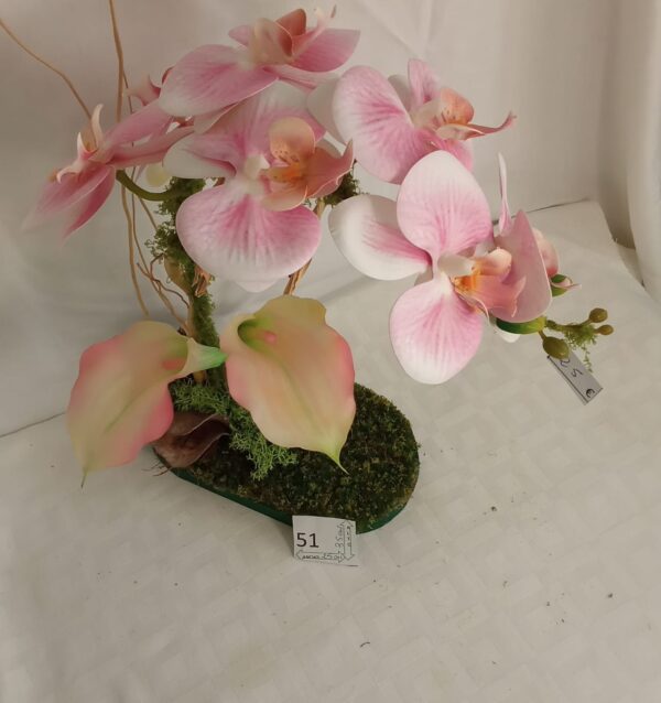 Ramo Solidario nº 51