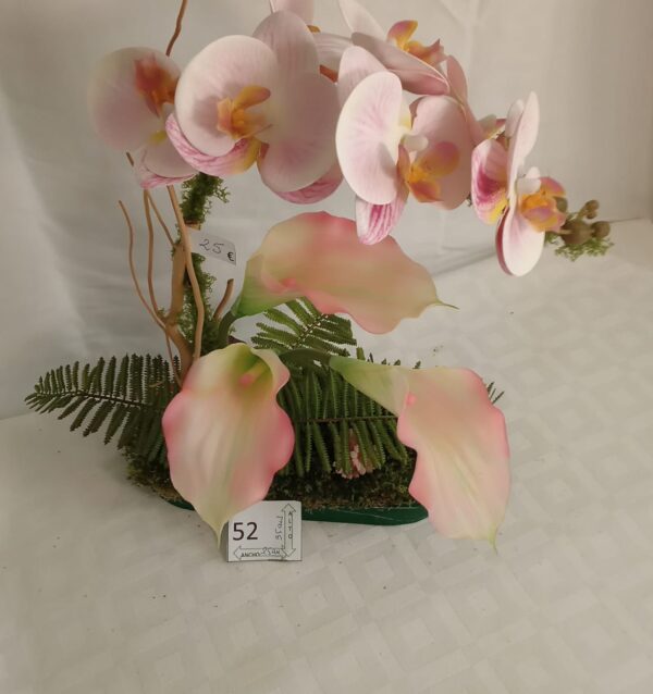 Ramo Solidario nº 52