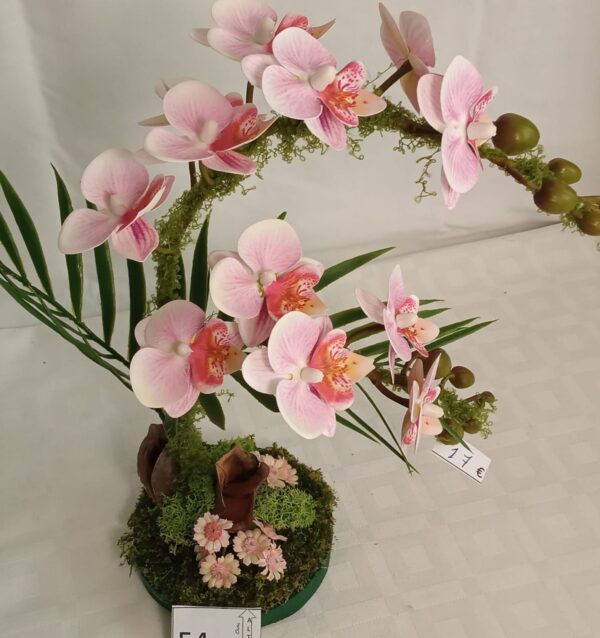 Ramo Solidario nº 54