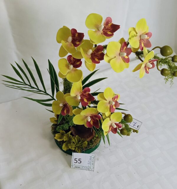 Ramo Solidario nº 55