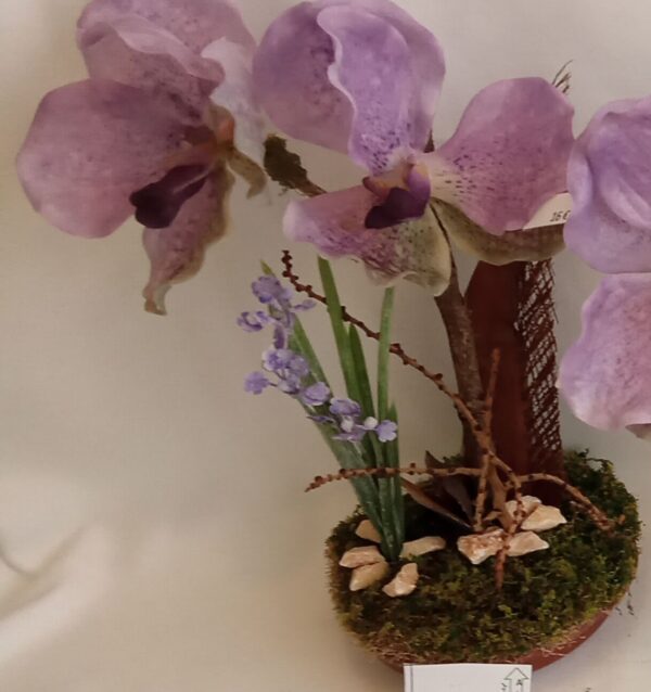 Ramo Solidario nº 56