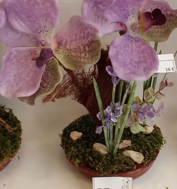 Ramo Solidario nº 57