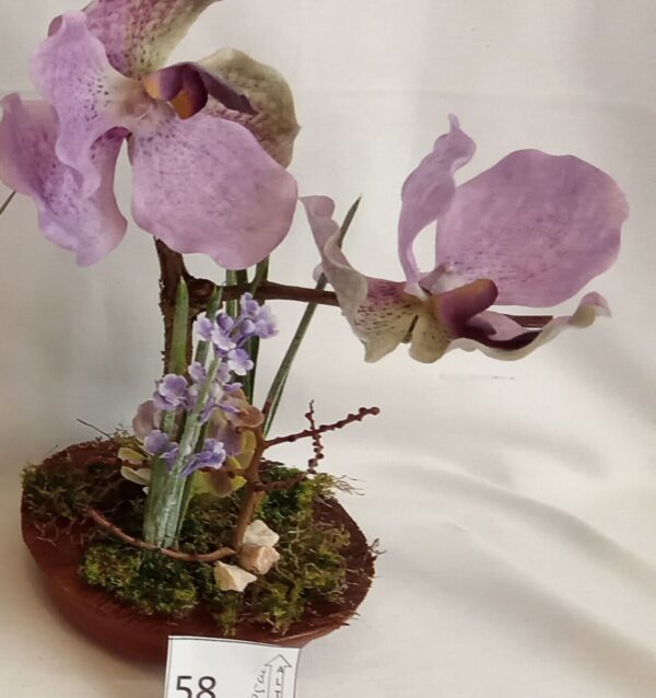 Ramo Solidario nº 58