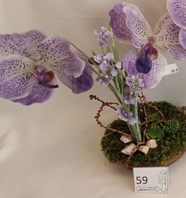 Ramo Solidario nº 59