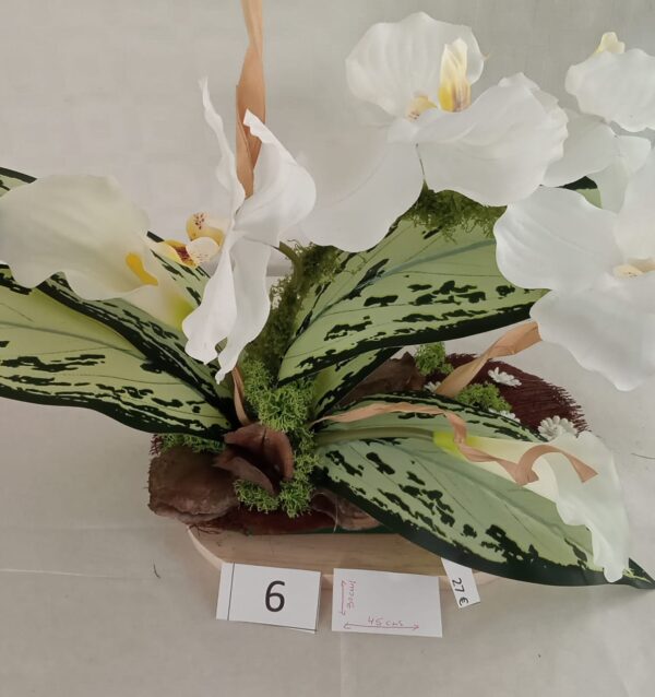 Ramo Solidario nº 6