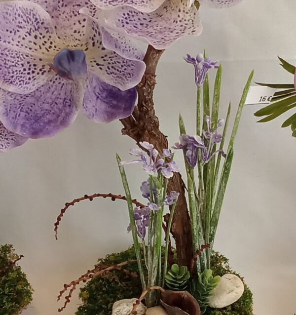 Ramo Solidario nº 60