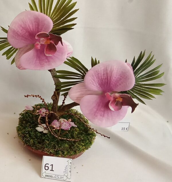 Ramo Solidario nº 61