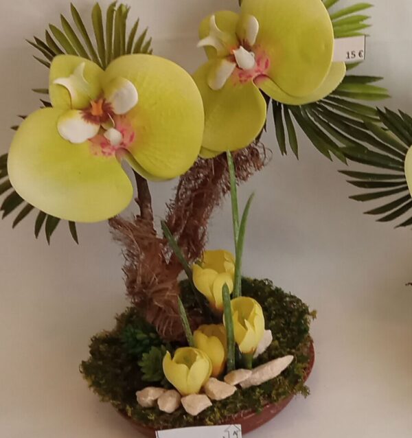 Ramo Solidario nº 62