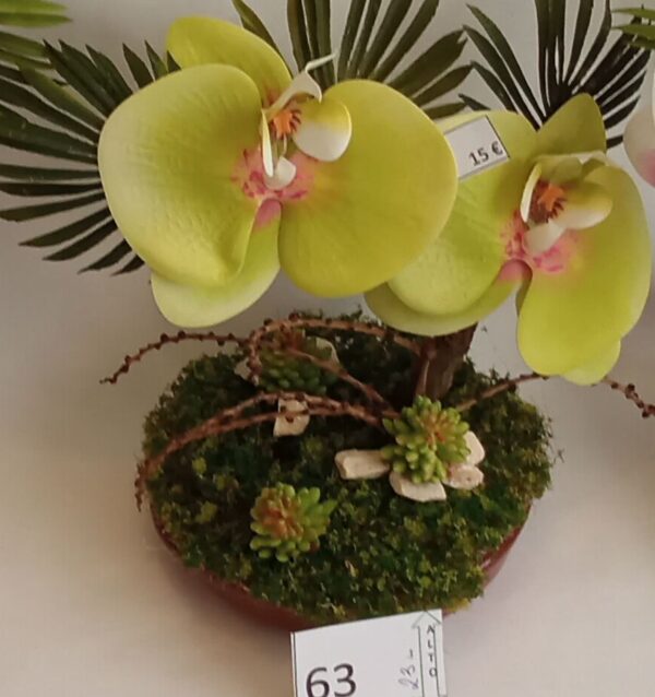 Ramo Solidario nº 63