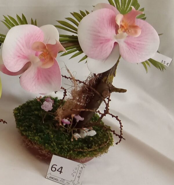 Ramo Solidario nº 64