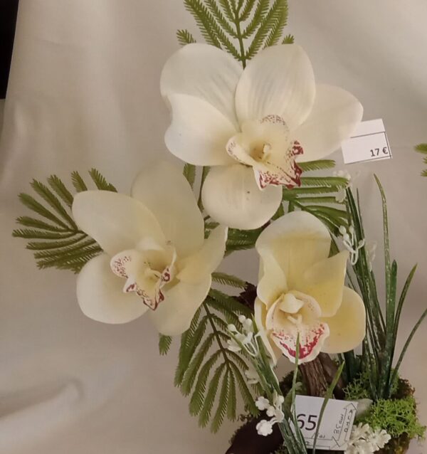 Ramo Solidario nº 65